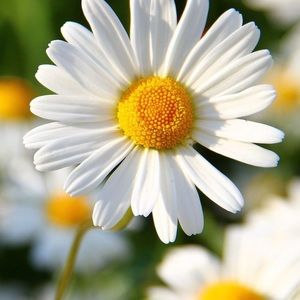 Meet your Posher, Karly